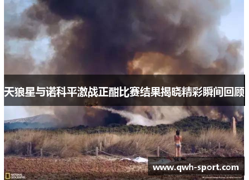 天狼星与诺科平激战正酣比赛结果揭晓精彩瞬间回顾